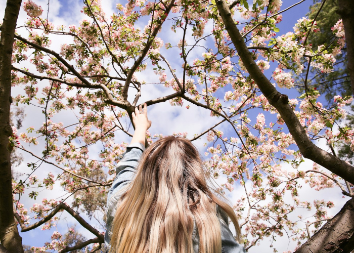 十大分享“樱花之盛有没有透视辅助”(其实确实有挂)-知乎